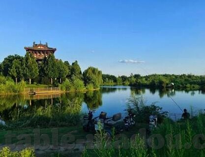 91人妻福利精品-91人妻福利精品，解锁生活品质的温馨秘籍