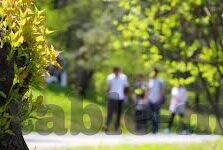 大象传媒汅api免费下载-探索大象传媒汅API的免费下载，解锁创意与信息的无限可能