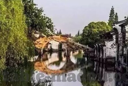 大象传媒下载安装-探索大象传媒，下载与安装的实用指南