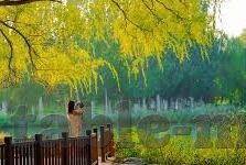 国产麻豆剧传媒精品国产av-国产影视剧的多样化探索，国产麻豆剧与传媒精品国产AV的发展与影响