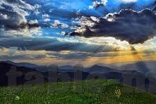 横恋动漫中文字幕在线-横恋动漫，中文字幕下的情感之旅